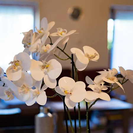 Дом отдыха Kevikincses Vendeghaz